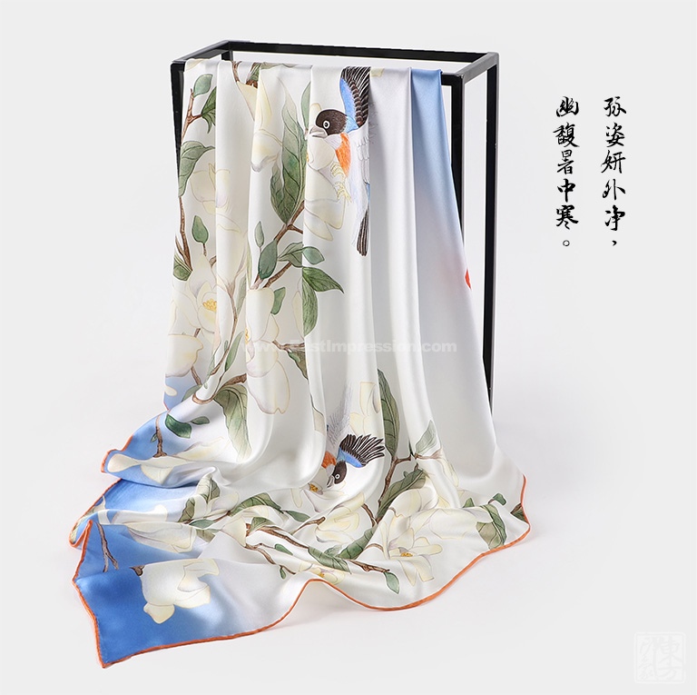 24⡱˿秶˿